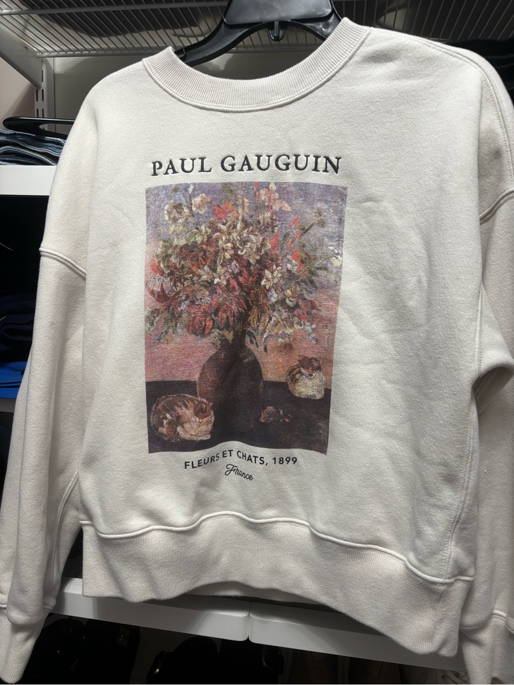Abercrombie & fitch sweatshirt